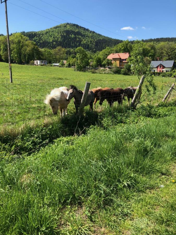Dom Gorski Do Wynajecia 3 Km Od Karpacza Sudecka 100 Miłków Exterior foto